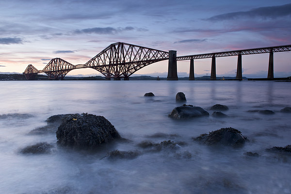 Forth bridge at dusk Picture Board by Stephen Taylor