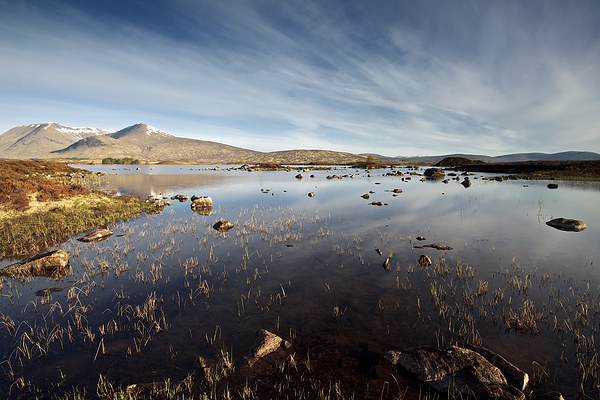 Rannoch Moor in the summer Picture Board by Stephen Taylor