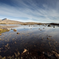 Buy canvas prints of Rannoch Moor in the summer by Stephen Taylor