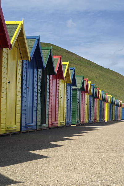 Whitby Beach Huts Picture Board by Stephen Taylor