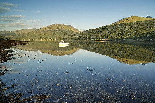  Loch Long reflections  Picture Board by Stephen Taylor