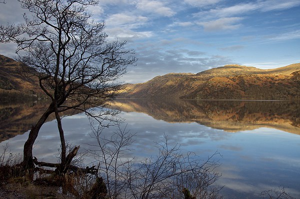  Calm on Loch Lomond Picture Board by Stephen Taylor