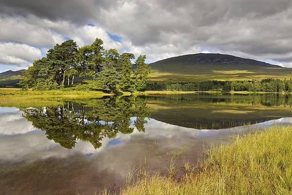 Loch Tulla reflections Picture Board by Stephen Taylor