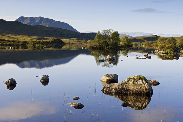  Rannoch Moor summer reflections Picture Board by Stephen Taylor