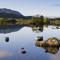 Buy canvas prints of  Rannoch Moor summer reflections by Stephen Taylor