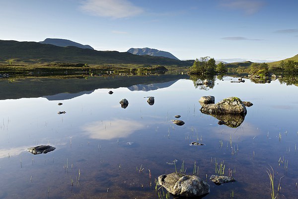  Rannoch Moor in the summer Picture Board by Stephen Taylor