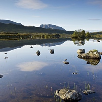 Buy canvas prints of  Rannoch Moor in the summer by Stephen Taylor