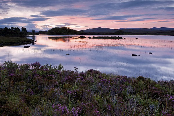 Loch Ba Sunrise Picture Board by Stephen Taylor