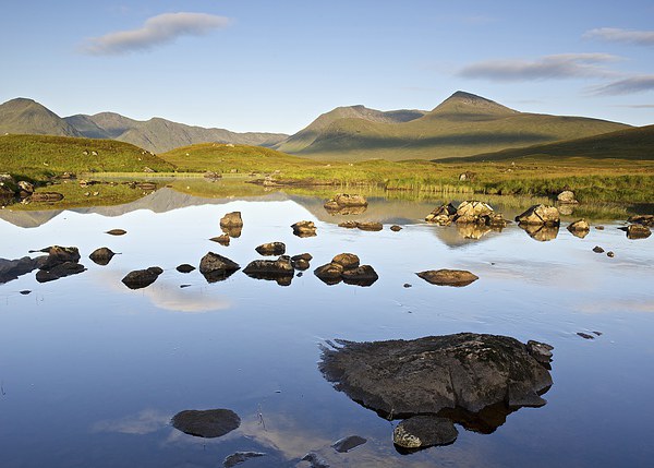  Morning light on Rannoch Moor Picture Board by Stephen Taylor