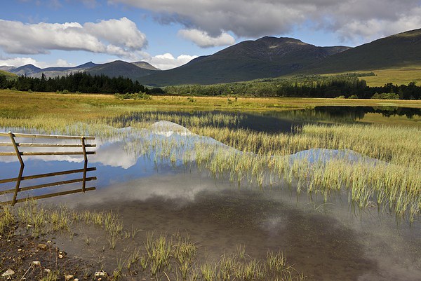 Glen Orchy in summer  Picture Board by Stephen Taylor