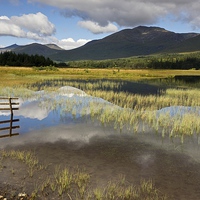 Buy canvas prints of Glen Orchy in summer  by Stephen Taylor