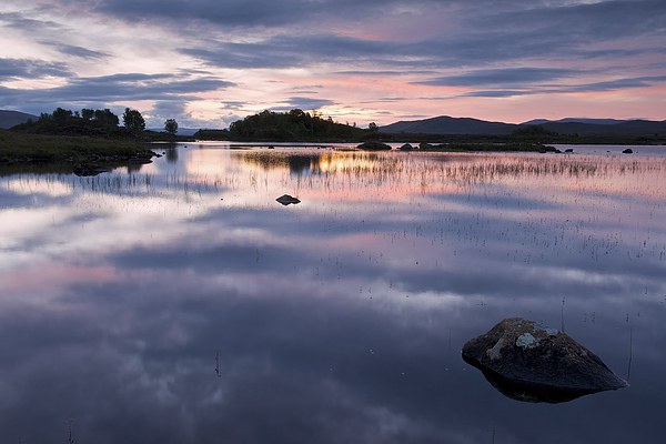  Loch Ba at dawn Picture Board by Stephen Taylor