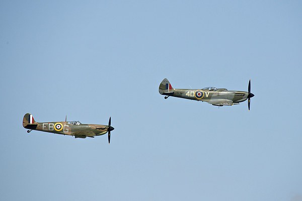  Spitfires Picture Board by Stephen Taylor