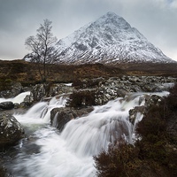 Buy canvas prints of  Buachaille Etive Mor by Stephen Taylor