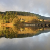 Buy canvas prints of Golden light in the Elan Valley by Stephen Taylor