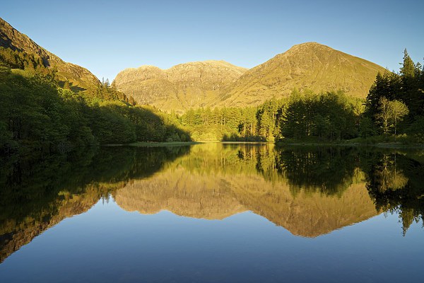  Glencoe Lochan reflections in summer Picture Board by Stephen Taylor