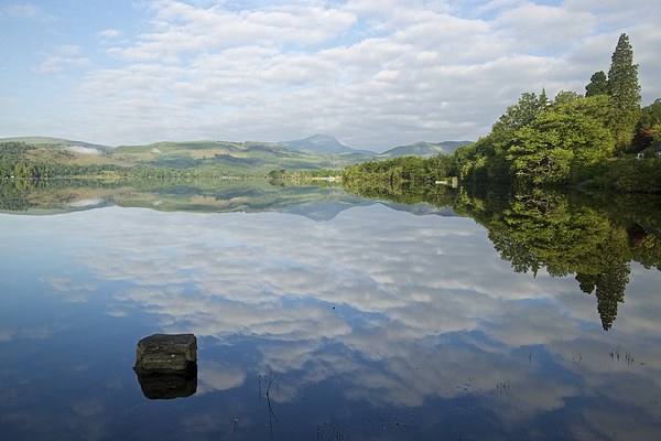  The trossachs in summer Picture Board by Stephen Taylor