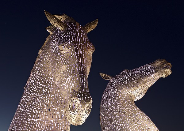  The Kelpies at night Picture Board by Stephen Taylor