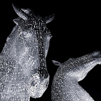Buy canvas prints of The Kelpies at night by Stephen Taylor