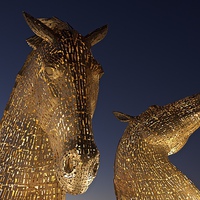 Buy canvas prints of  The Kelpies at Falkirk by Stephen Taylor