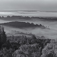 Buy canvas prints of Mist over the Queen Elizabeth Forest  by Stephen Taylor