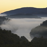 Buy canvas prints of  Dawn in the Queen Elizabeth forest by Stephen Taylor