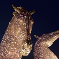 Buy canvas prints of  The Kelpies in pink by Stephen Taylor