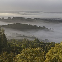 Buy canvas prints of  Autumn mist in the Trossacha by Stephen Taylor