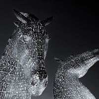 Buy canvas prints of  Kelpies by Stephen Taylor