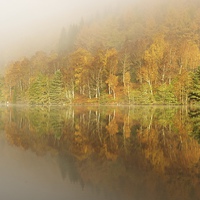Buy canvas prints of  Autumn colours by Stephen Taylor