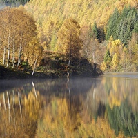 Buy canvas prints of  Autumn colours on Loch Tummel by Stephen Taylor
