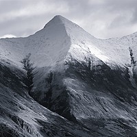 Buy canvas prints of The Five Sisters of Kintail by Stephen Taylor