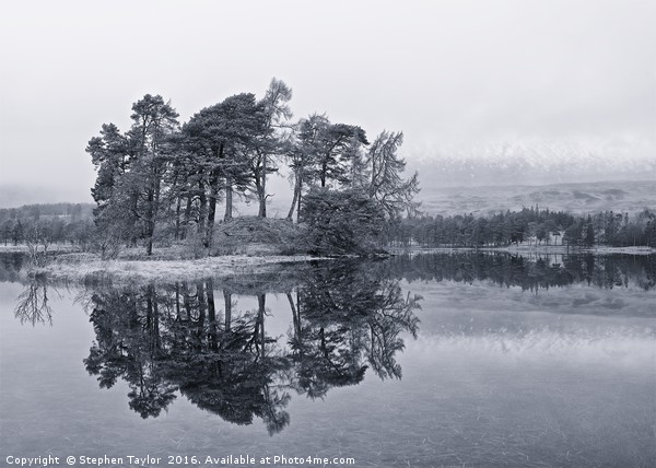 Loch Tulla Pines Picture Board by Stephen Taylor