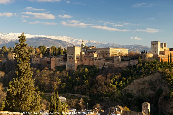The Alhambra palace Granada Picture Board by Stephen Taylor