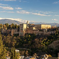 Buy canvas prints of The Alhambra palace Granada by Stephen Taylor