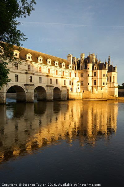 The Chenonceau Chateau Picture Board by Stephen Taylor