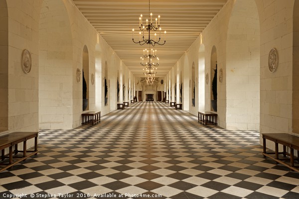 Inside the great grand Chateau de Chenonceau Picture Board by Stephen Taylor