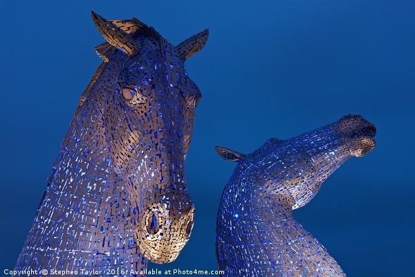 The Two heads of the Kelpies Picture Board by Stephen Taylor