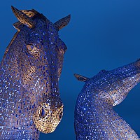 Buy canvas prints of The Two heads of the Kelpies by Stephen Taylor