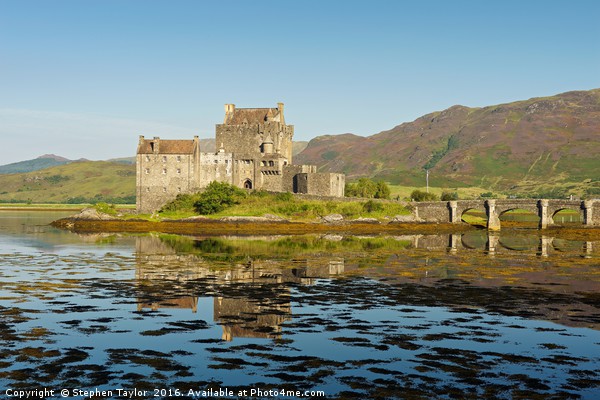 Reflections of Eilean Donan Castle Picture Board by Stephen Taylor