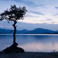 Buy canvas prints of Milarrochy Bay at dusk by Stephen Taylor