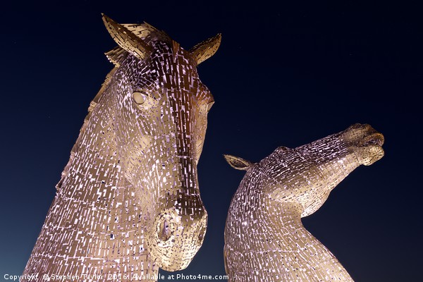 The Kelpies in Pink Picture Board by Stephen Taylor