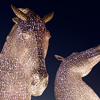 Buy canvas prints of The Kelpies in Pink by Stephen Taylor