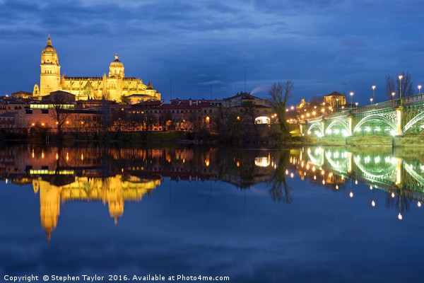 Salamanca Cathedral Picture Board by Stephen Taylor
