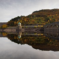 Buy canvas prints of Autumn colours in the Elan Valley by Stephen Taylor