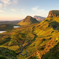 Buy canvas prints of The Trotternish Ridge by Stephen Taylor