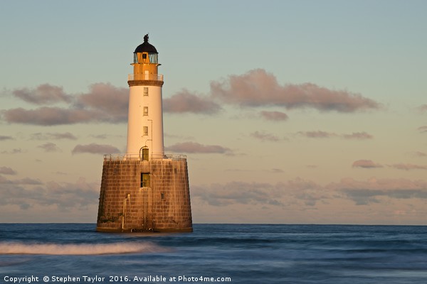 Golden light at Rattray Head Picture Board by Stephen Taylor