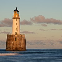 Buy canvas prints of Golden light at Rattray Head by Stephen Taylor