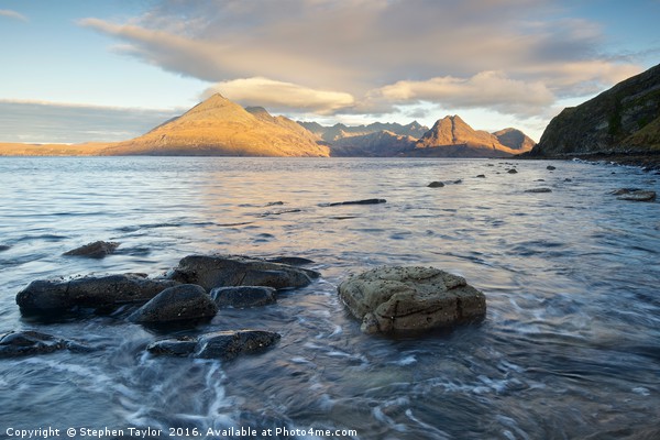 Golden light at Elgol Picture Board by Stephen Taylor