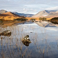 Buy canvas prints of Autumn on Rannoch Moor by Stephen Taylor
